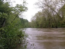 The Cowpasture River