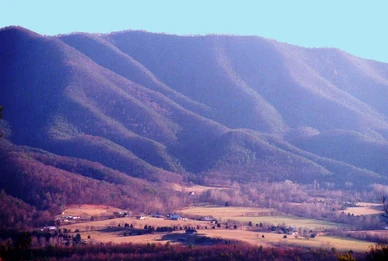 The Cowpasture River Valley bottomlands, with Rough Mountain in the background.
