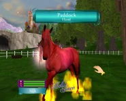 Bella Sara Sur PC – Jeu Familial Complet Avec Notice (PEGI 3) – Bon état