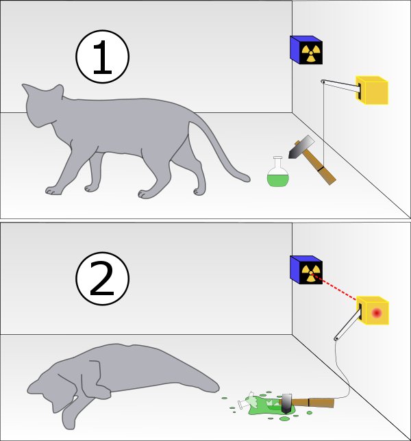 El gato de Schrödinger – Ciencia de Sofá