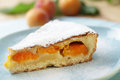 Stock-photo-apricot-pie-image22065240