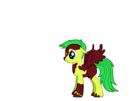 Stefanie's pony. Name: Cloud Chaser