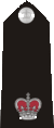 This is a superintendents epaulette.