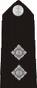 this is an inspectors epaulette.