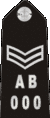 This is a Sergeant's Epaulette Sergeant (Sgt.)