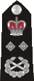 This is a Deputy Commissioner's Epaulette Deputy Commissioner