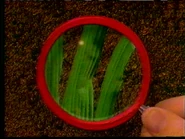 Blues discovery 000954