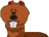 Beaver