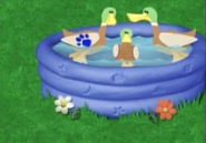 Duck 3.png (291 KB) The First Clue (Duck (As real animals)). One of them has Blue's pawprint.