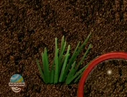 What Experiment Does Blue Want To Try 013