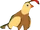 Quail