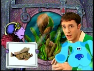 Blue's Clues - S03E07 - Animal Behavior 000949.jpg (126 KB)