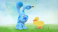 Blue meet Duck