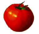 Tomato 2.png (10 KB) Tomato 1 clue left