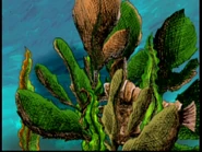 Animal Behavior 034.png (622 KB)