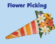 Flower Picking Activity
