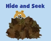 Hide and Seek Activity
