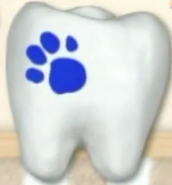 Tooth