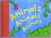 Animals, Animals, Animals