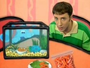 Can you see Turquoise poking out of her shell?