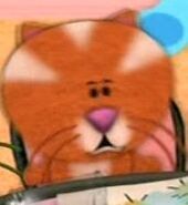 Orange Kitty.jpg