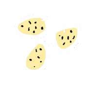Eggs.png (24 KB) Eggs