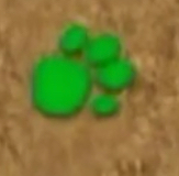 Green Paw Print