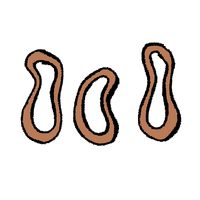 Rubber Bands.png (46 KB)