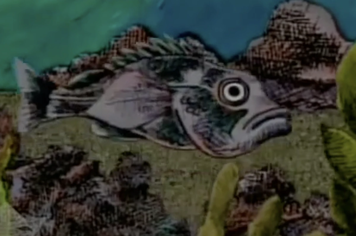 Rockfish | Blue's Clues Wiki | Fandom