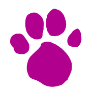 Magenta's Pawprint (Original)
