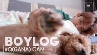 38 - BOYLOG Thumbnail