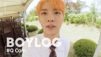 16 - BOYLOG Thumbnail