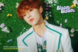 THE BOYZ ドボイズ　sunwoo ソヌ サノクトレカBloomBloom 人気急上昇】 sunwoo ソヌ BOYZ THE サノク Bloom Bloom トレカ