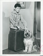 Mike Lookinland in the promotional photo of the episode