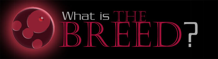 What Is TheBreed