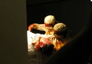 The Doctors, as seen in the visual companion.