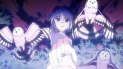 Athena and her owls.