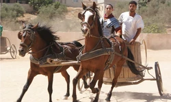 Chariot Racing
