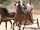 Chariot Racing