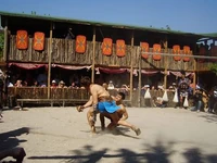 Gladiator Fighting