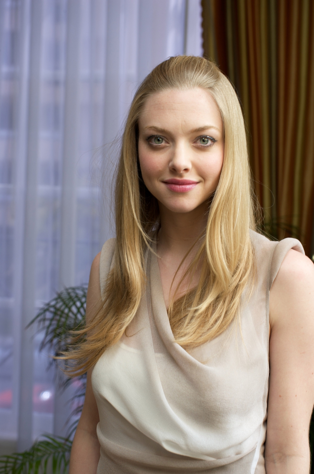 Amanda Seyfried The Celebritys Wiki Fandom