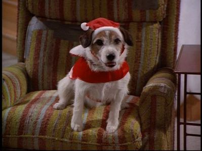 Eddie | The Cheers & Frasier Wiki | Fandom Eddie | The Cheers & Frasier Wiki | Fandom