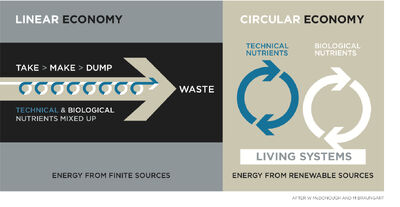 Circular-linear economy.jpg
