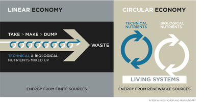 Circular-linear economy