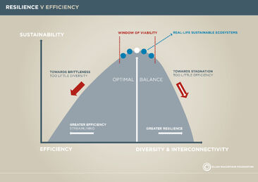 Resilience-vs-Efficiency