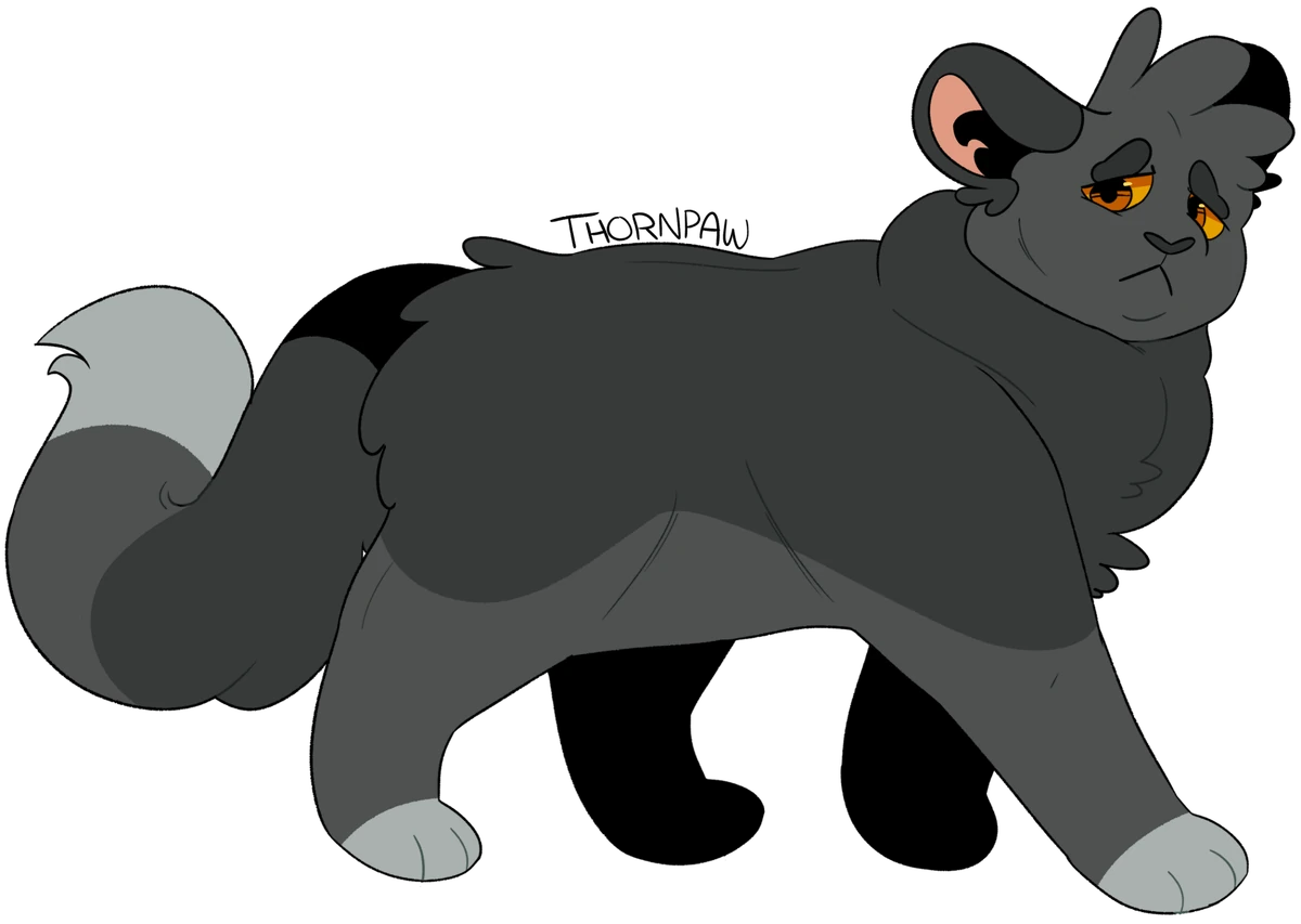 Thornpaw The Clash of Stars Wiki Fandom