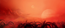 A forest on Dathomir.