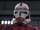 Unidentified clone shock trooper 2
