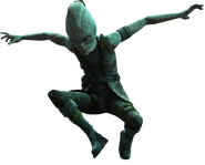 Omer relationship.png (101 KB) O-Mer