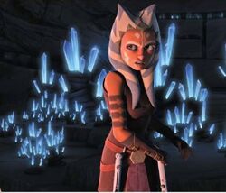 Togruta  Ahsoka Tano.